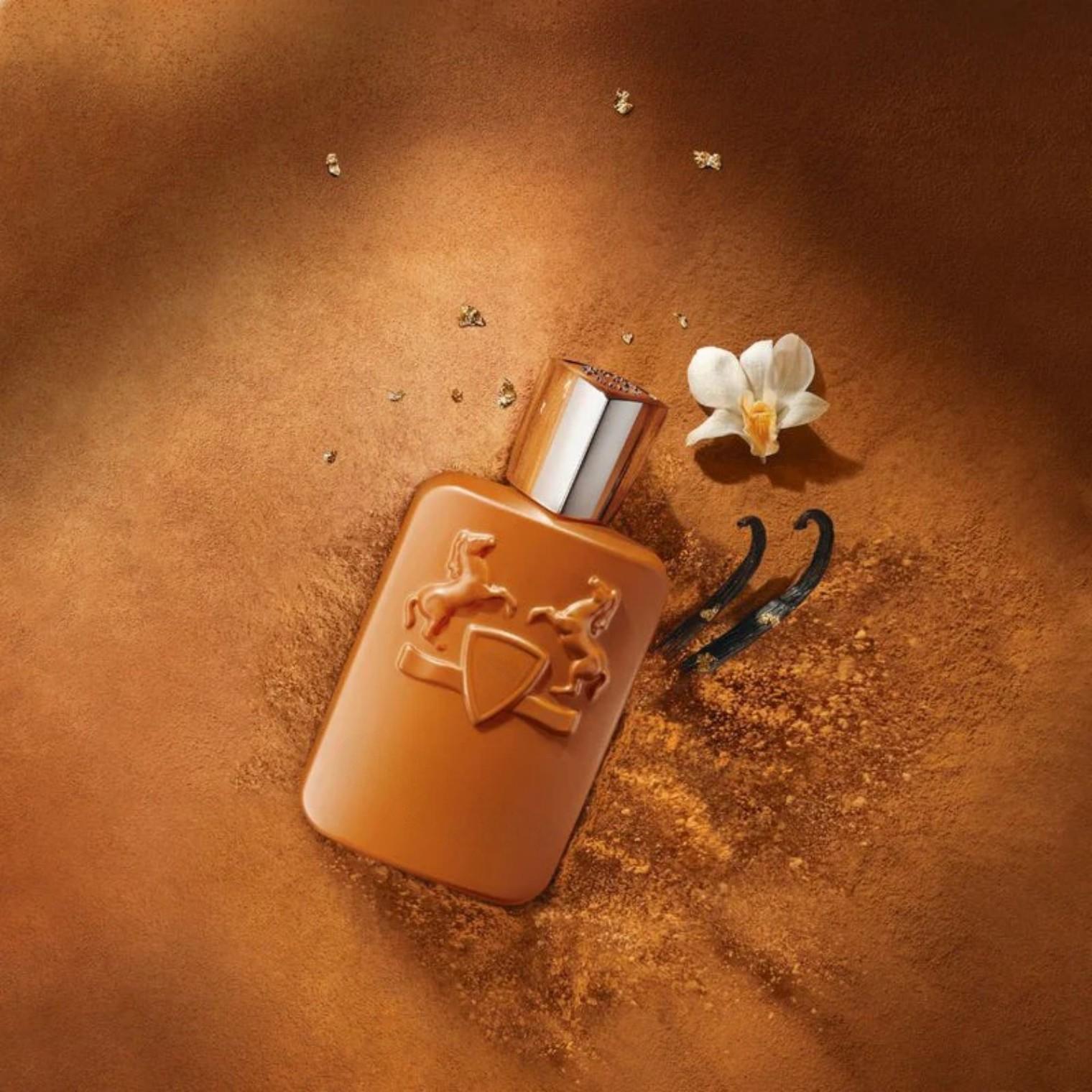125ml 브라운 보틀 남성용 향수, 풍부한 우디 향  - Perfume Xeryus 리뷰 및 가격