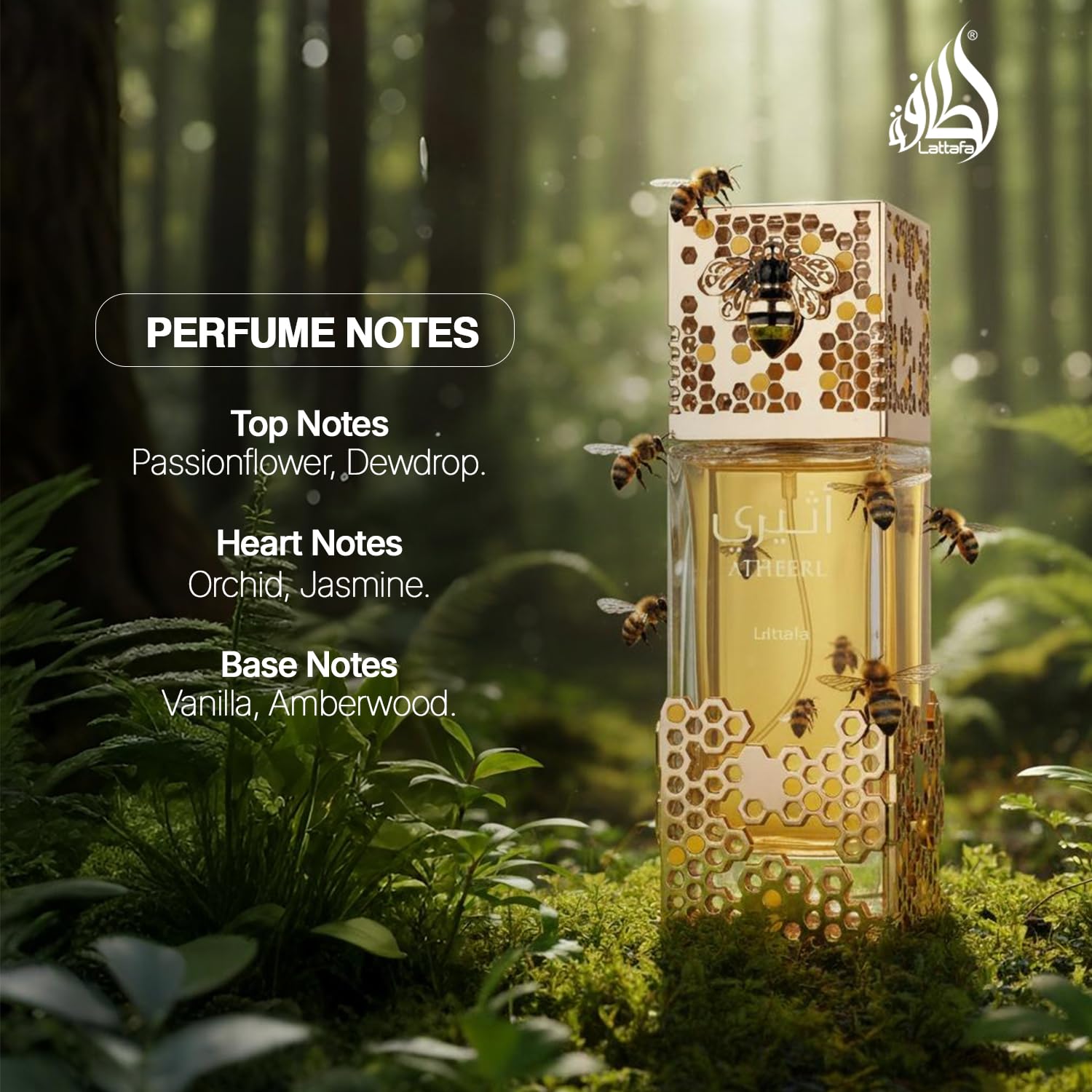 아테리 EDP 100ml, 럭셔리 스위트 허니 플로럴  - Perfume Xeryus 리뷰 및 가격