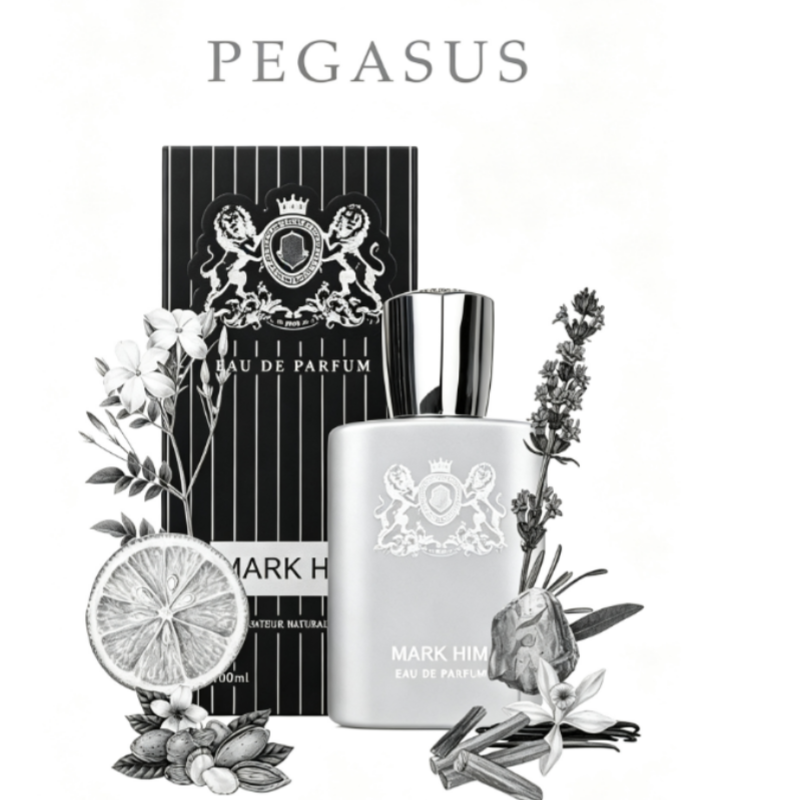 100ml 마크 히 남성 향수, 오래 지속되는 마그네틱 - Perfume Xeryus 리뷰 및 가격